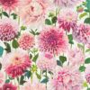 Dahlia  112843